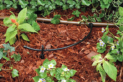 Rain Bird T22-250S Drip Distribution Tubing, 1/4" - size: 250' Roll (Pack of 1), style: Distribution Tubing