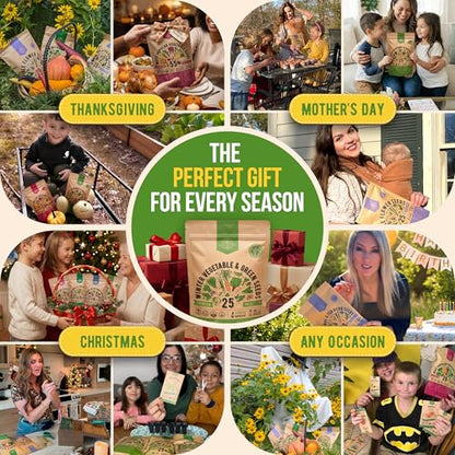 Organo Republic 25 Winter Vegetable & Green Seeds Variety Pack for Outdoors & Indoor Home Gardening 27670+ Non-GMO Heirloom Seeds: Broccoli Beet Carrot Collard Lettuce Radish Spinach Pea Kohlrabi