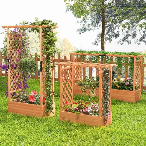 S AFSTAR 72-Inch Raised Garden Bed with Arch Trellis, Hanging Roof & Drainage Holes, Vertical Plant Container for Vine Climbing Plant Flower, Indoor Outdoor Wood Elevated Planter Box for Garden Patio - size: 43.5"L x 17.5"W x 72"H