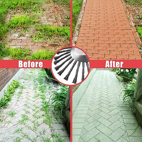 NeJesZoe 10 Inch Steel Wire Rotary Weed Brush Cutter Trimmer Head, Wired Weed Trimmer Blade Head with Adapter Kits for Weed Eater, Brush Cutter, Weed Wreckers, Moss Grass Rust Removal