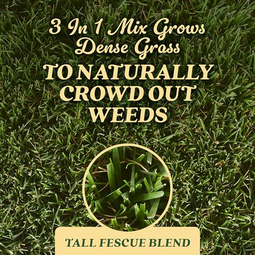 O.M. Scott & Sons Tall Fescue Blend Grass Seed, 8 lbs. - color: Tall Fescue, size: 1 Pack