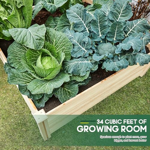 SPECRAFT 8x4 Ft Wood Raised Garden Bed, 15 Inch Deep Planter Box - size: 8x4 FT