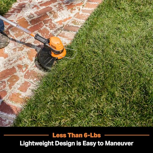 LawnMaster CLGT2412S 24V 12" Cordless String Trimmer 2.0AH Battery & Charger Included - style: Cordless