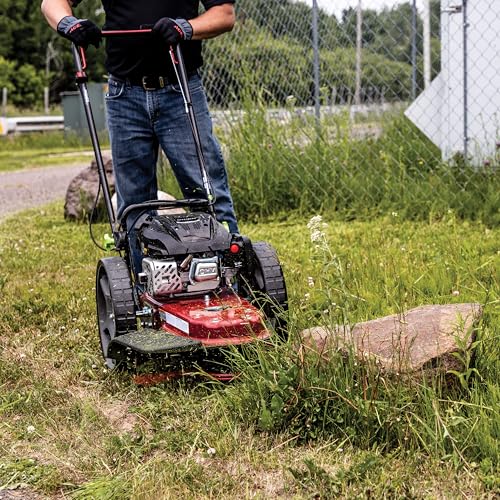 Earthquake Walk Behind String Mower With 160cc Viper 4-Cycle Engine, 22” Cutting Diameter, 14” Never-Go-Flat Wheels, Easy Assembly, Adjustable Handlebar, 40314