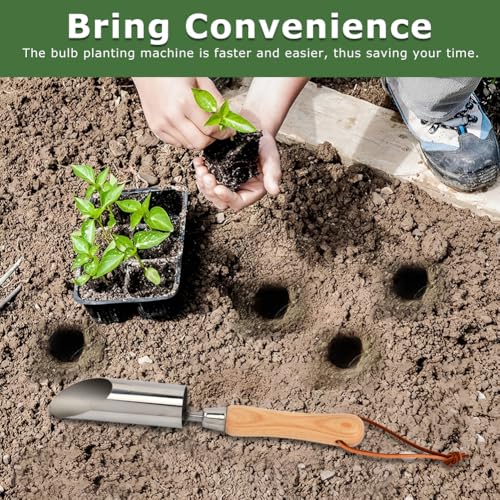 Bulb Planter Tool, 11 Inch Stainless Steel Bulb Planter with Wooden Handle