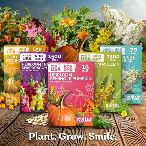 1,200 Detroit Dark Red Beet Heirloom Vegetable Seeds, Beta Vulgaris