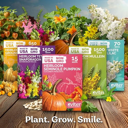 1,200 Detroit Dark Red Beet Heirloom Vegetable Seeds, Beta Vulgaris