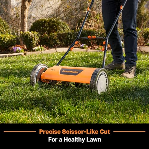 LawnMaster LMRM1602 Push Reel Lawn Mower 16-Inch 5-Blade - size: 16-Inch