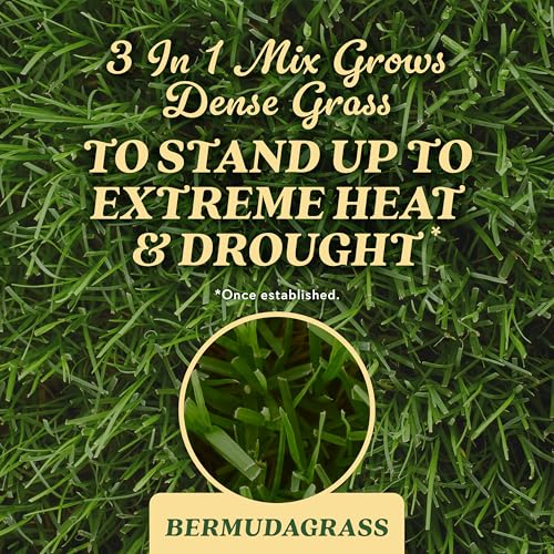 O.M. Scott & Sons Bermudagrass Grass Seed, 5 lbs. - color: Bermudagrass, size: 1 Pack