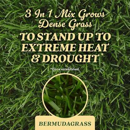 O.M. Scott & Sons Bermudagrass Grass Seed, 5 lbs. - color: Bermudagrass, size: 1 Pack