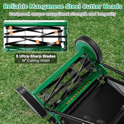 16" Manual Rear Mower, Push Lawn Mower with 5 Steel Blades, Adjustable Cutting Heights & Grass Catcher Bag, Walk-Behind Grass Cutter Lawn Sweeper for Garden, Park & Yard (Green) - color: Green, size: 16"