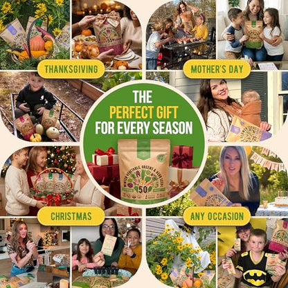 50 Winter Vegetable Garden Seeds Variety Pack - 43,450+ Non-GMO Heirloom Seeds for Outdoors & Indoor Home Gardening, Including Kohlrabi, Lettuce, Radish, Onion, Choy, Spinach, Cauliflower, Collards