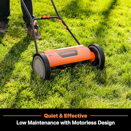 LawnMaster LMRM1602 Push Reel Lawn Mower 16-Inch 5-Blade - size: 16-Inch