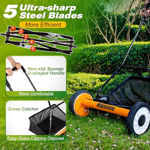 Walensee 20-Inch 5-Blade Push Reel Lawn Mower, Cordless Manual Reel Lawn Mower Walk-Behind Steel Lawn Mowers with Removable 11.8-Gallon Grass Catcher, Sponge Grip, 9-Position Cutting Height Adjustment - size: 20-Inch With Catcher