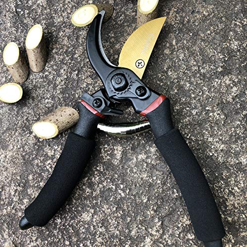 gonicc 8" Professional Premium Bypass Titanium Pruning Shears(GPPS-1003) - color: Golden Titanium Bypass Pruning Shears