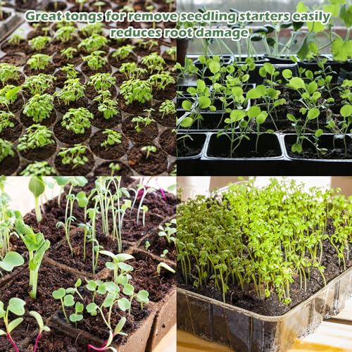 2PCS Seedling Transplant Tongs Stainless Steel Seedling Starters Remove Tongs Seedling Transplanting Tool Seedling Easy Transplanter with Anti-Slip Grasp Tips to Reduce Damage to Roots - color: 2PCS Silver