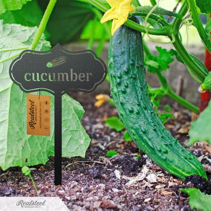 RealSteel Metal Seed & Plant Markers – Elegant Indoor & Outdoor Garden Stakes – Durable Herb, Vegetable & Fruit Plant Labels for Pots, Raised Beds & Greenhouse – Farmhouse Garden Gift - (Kale) - style: KALE