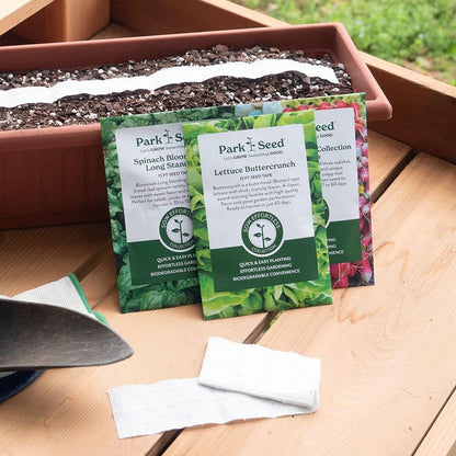 Park Seed Sow Effortless Collection Seed Tape – Sylvestra Lettuce, 15 Feet – Easy DIY Planting, Crisp & Flavorful Butterhead Variety, Disease Resistant and Bolt Tolerant, Ready in 52 Days, No Thinning - color: Sylvestra Lettuce